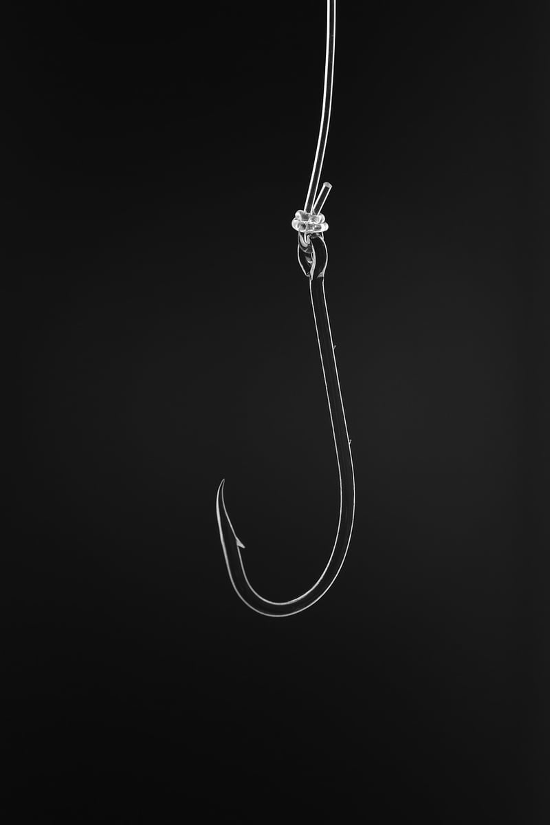 Ceiling Hooks